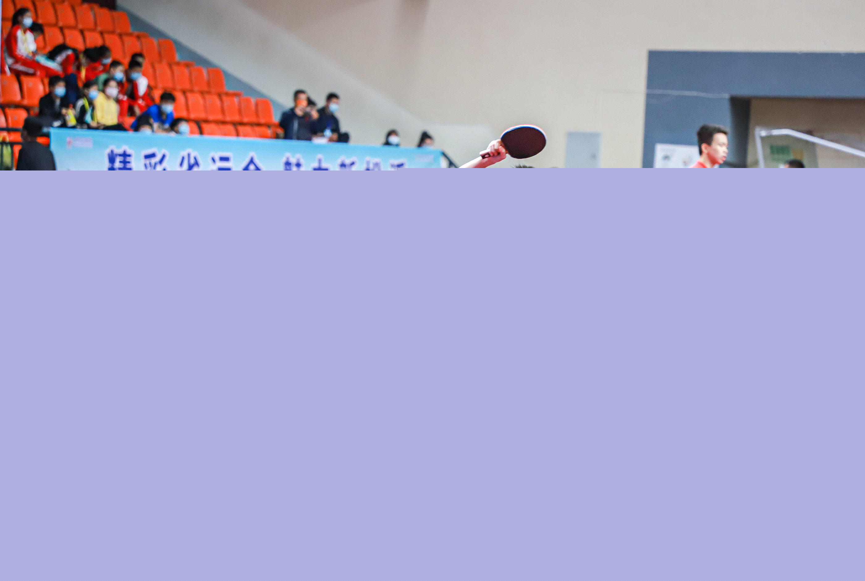 但这一决定 但这一决定