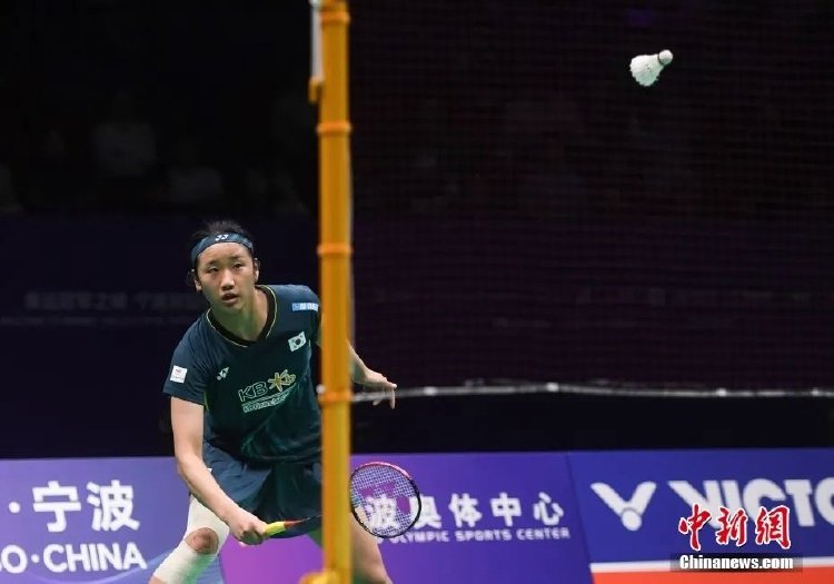 球迷感到骄 球迷感到骄