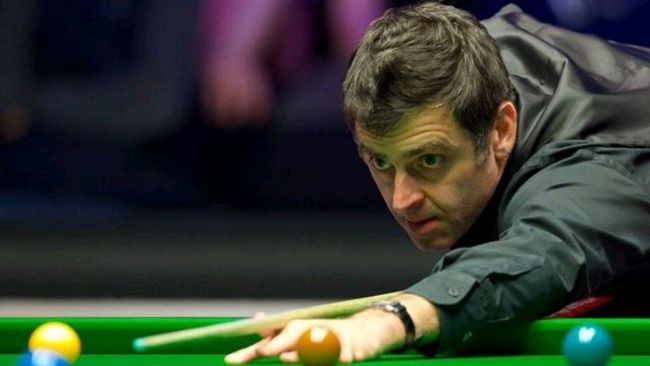 斯盖特的手 斯盖特的手