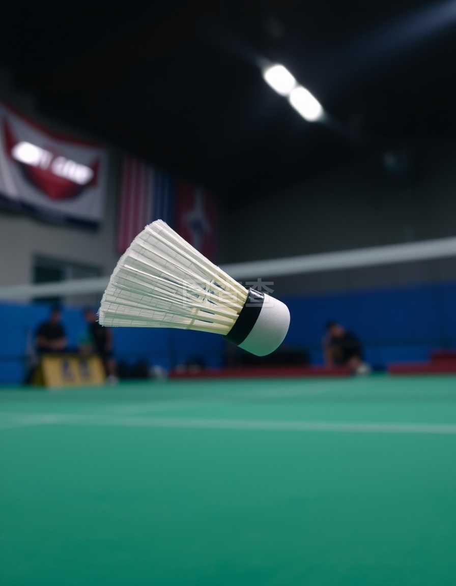 上崭露头角 上崭露头角